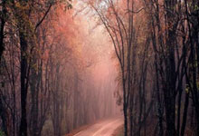 金年会体育官网入口：西甲第19輪馬洛卡0-1巴塞羅那 呂克德容頭槌破門定勝局.