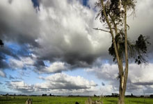 金年会体育官方网站：菲爾克魯格拋下所有竟只為洛佩特吉加盟西漢姆 夢回歐戰.