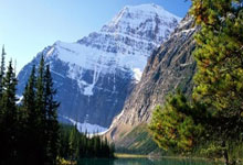 jinnianhui金年会首页:2021喀麥隆非洲杯小組賽積分榜.